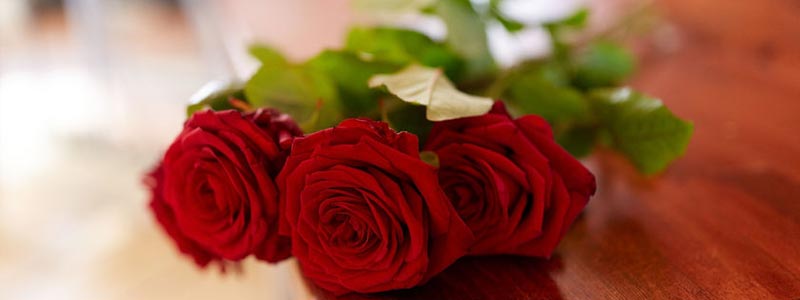 Red roses on a coffin